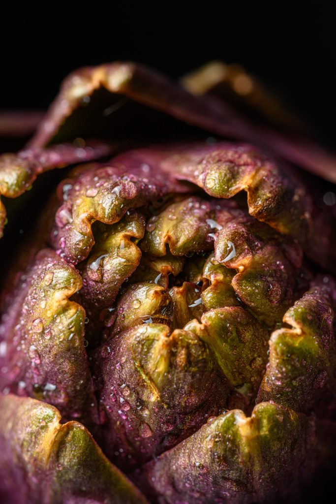 Artichoke